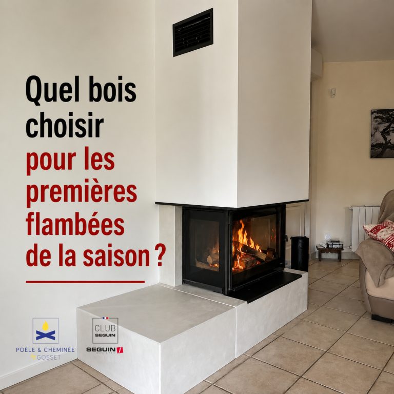 Quel bois choisir pour les premières flambées de la saison ?